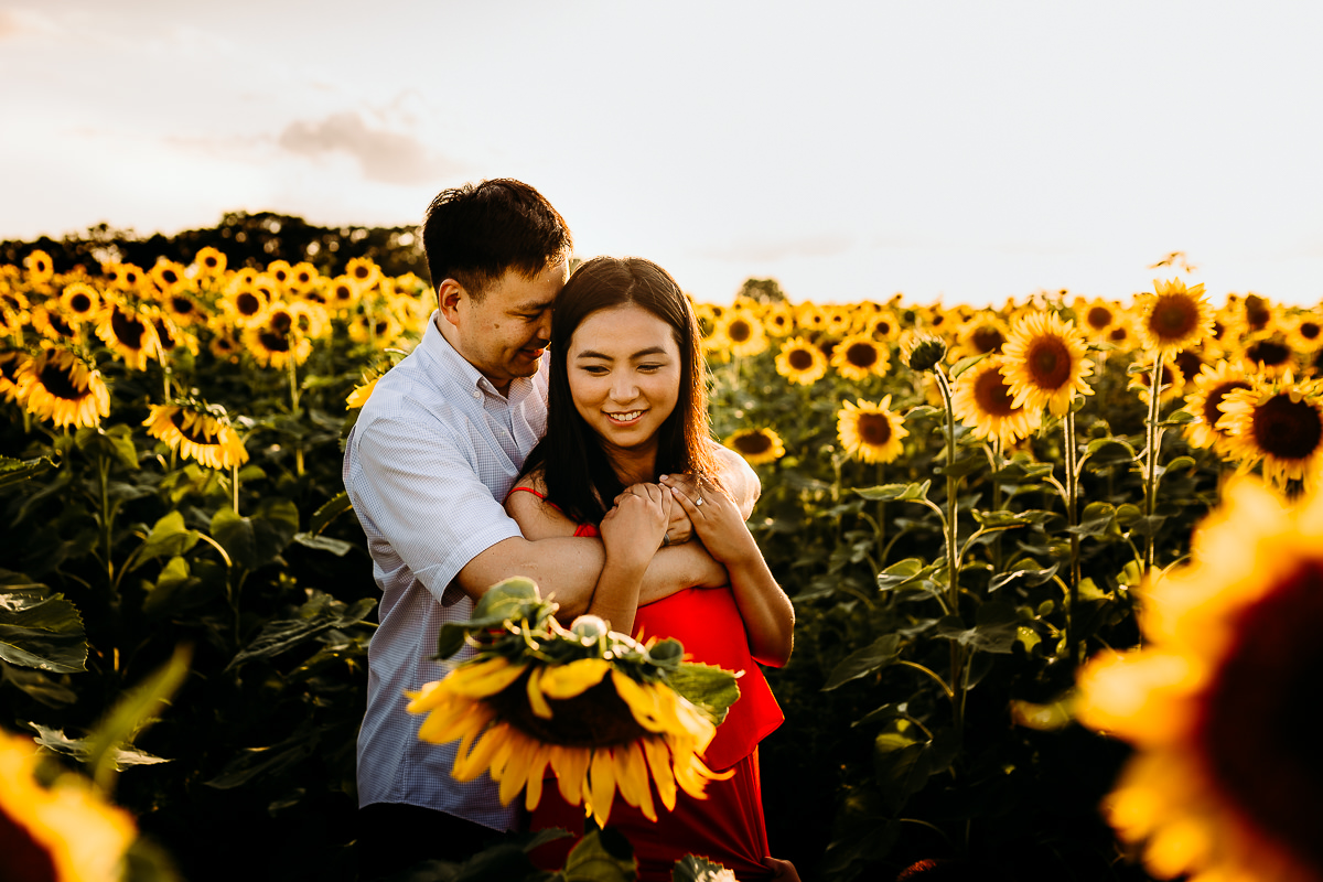couple in sunflower field 