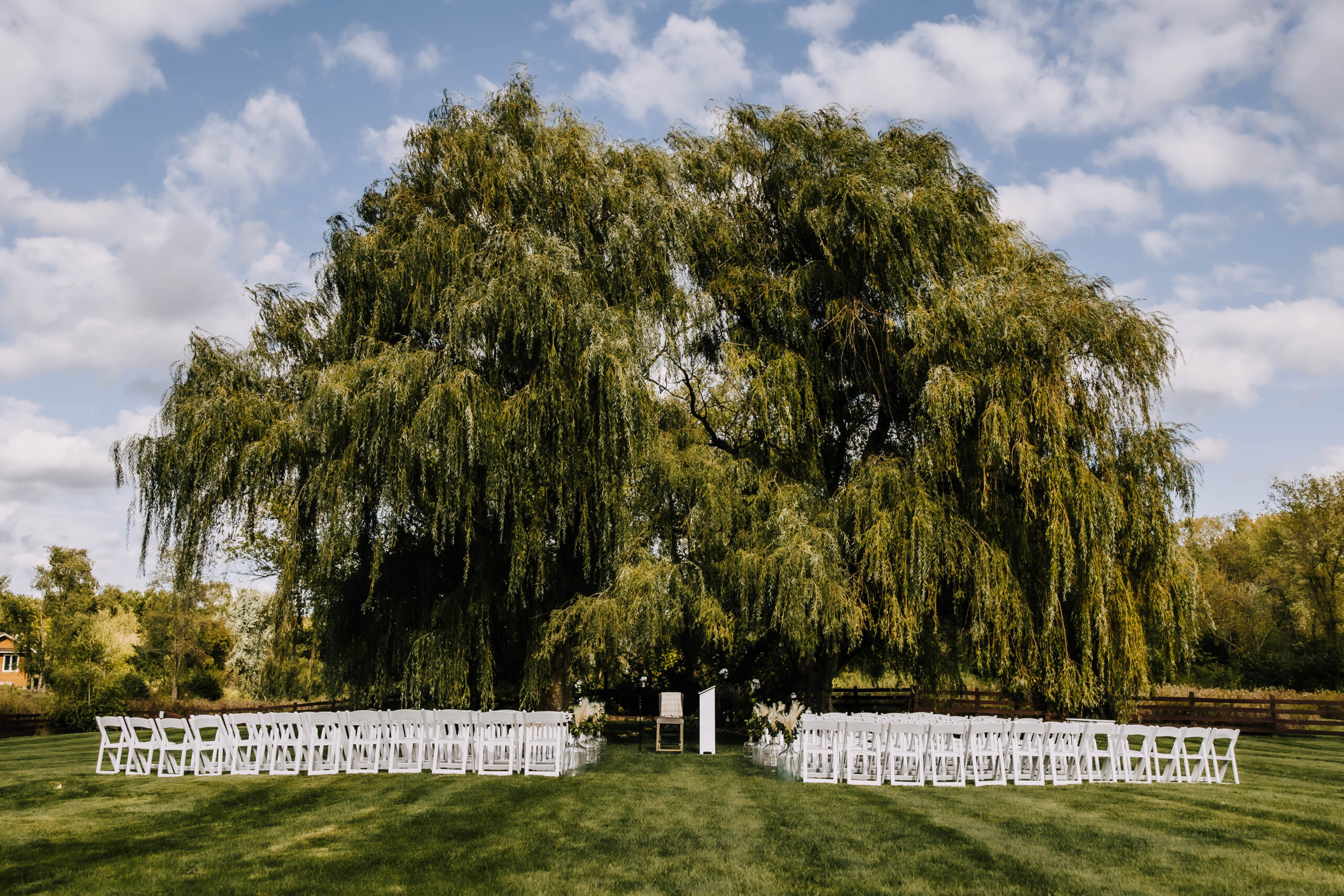 Weeping willow ceremony harvest mood pond wedding